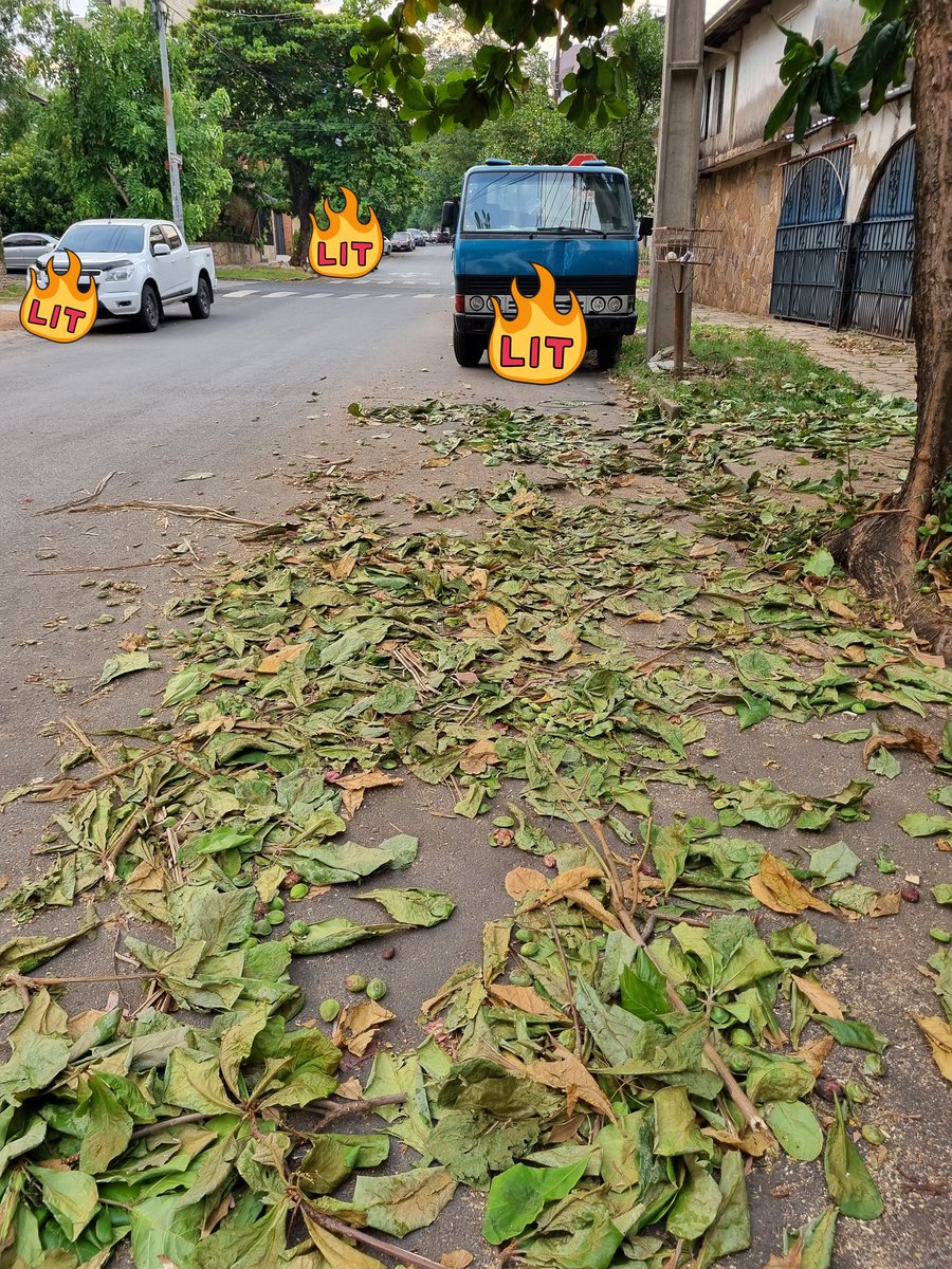 GabiiGo's tweet photo. A que hora más o menos vienen a buscar la basura? @ANDEOficial https://t.co/LsCiuq0gAr