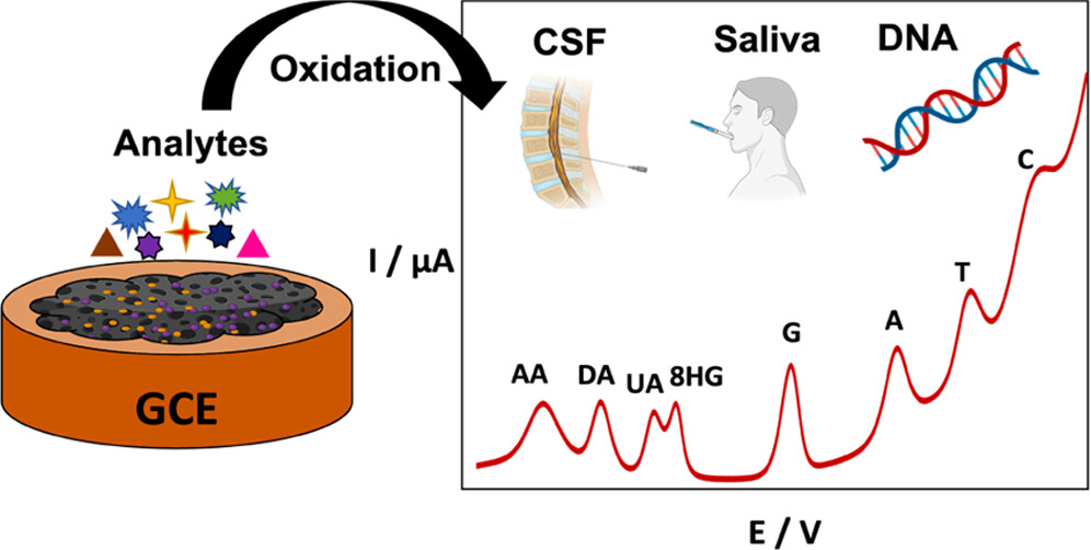 KermanLabUTSC's tweet image. Ultralight 3D Graphene Oxide Aerogel Decorated with Pd–Fe Nanoparticles for the Simultaneous Detection of Eight Biomolecules, Ferrag et al., ACS Appl. Mater. Interfaces 2023, 15, 23, 27502–27514 👏😊pubs.acs.org/doi/10.1021/ac…