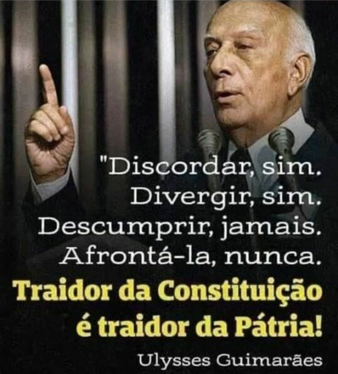 Deputados Golpistas! Senadores Golpistas! Ex-Presidente Golpista!
Os depoimentos de Generais das Forças Armadas a Polícia Federal prova o plano de Golpe de Estado via Estado de Sitio!
Alexandre de Moraes, Xandão, Eu Autorizo! Bolsonaro Preso! Câmara e Senado cassem os traidores!