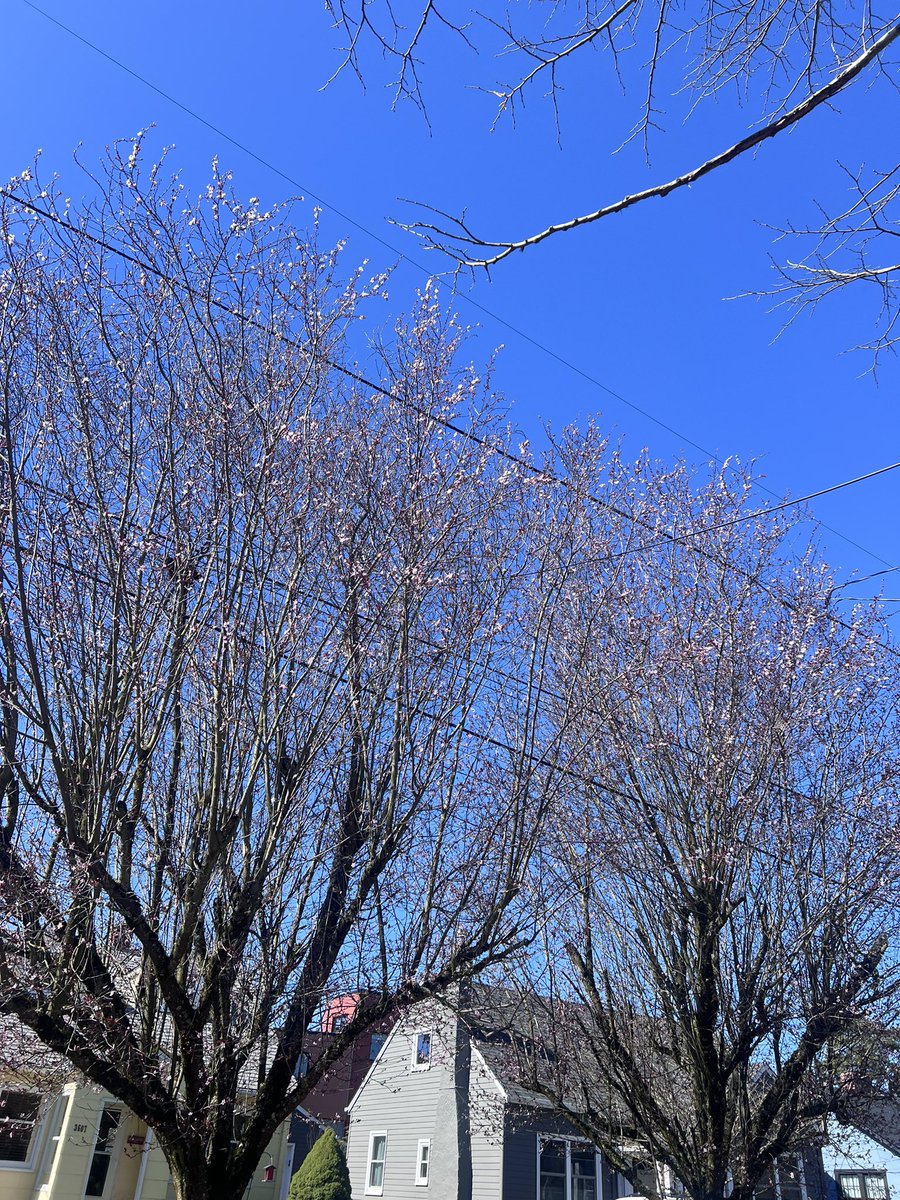 comishly (@cmshly) on Twitter photo 