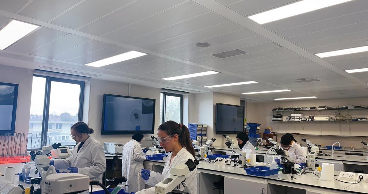 Lactophenol Cotton Blue (LPCB) Staining Food Science 🧪 Practical with our Nutrition and Health Students for the microscopic examination and identification of fungi @RoehamptonUni @NutritionRoe @adele759 @ur_women