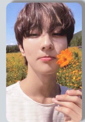wtb jungwon orange blood yang ini pls, yg under price klo ada