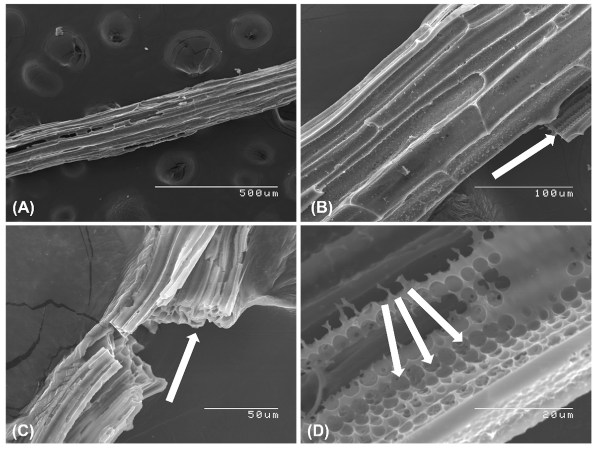 KermanLabUTSC's tweet image. Methylene Blue-Modified Biochar from Sugarcane for the Simultaneous Electrochemical Detection of Four DNA Bases, Hassan et al., Chemosensors 2023, 11(3), 169 mdpi.com/2169704 #mdpichemosensors via @chemosens_MDPI