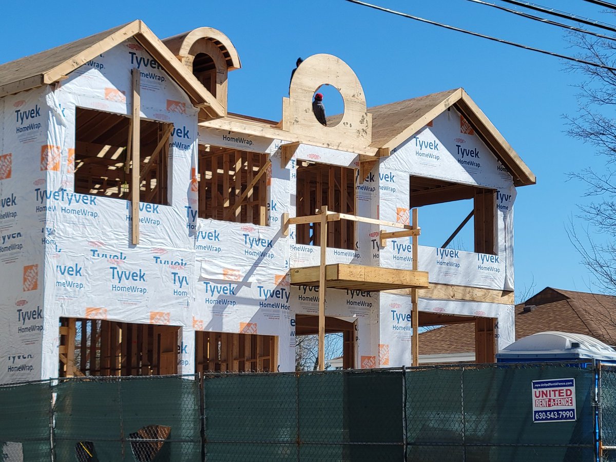 takotron's tweet photo. BRB framing out a giant donut for my McMansion's roof https://t.co/L4XJHM5W7B