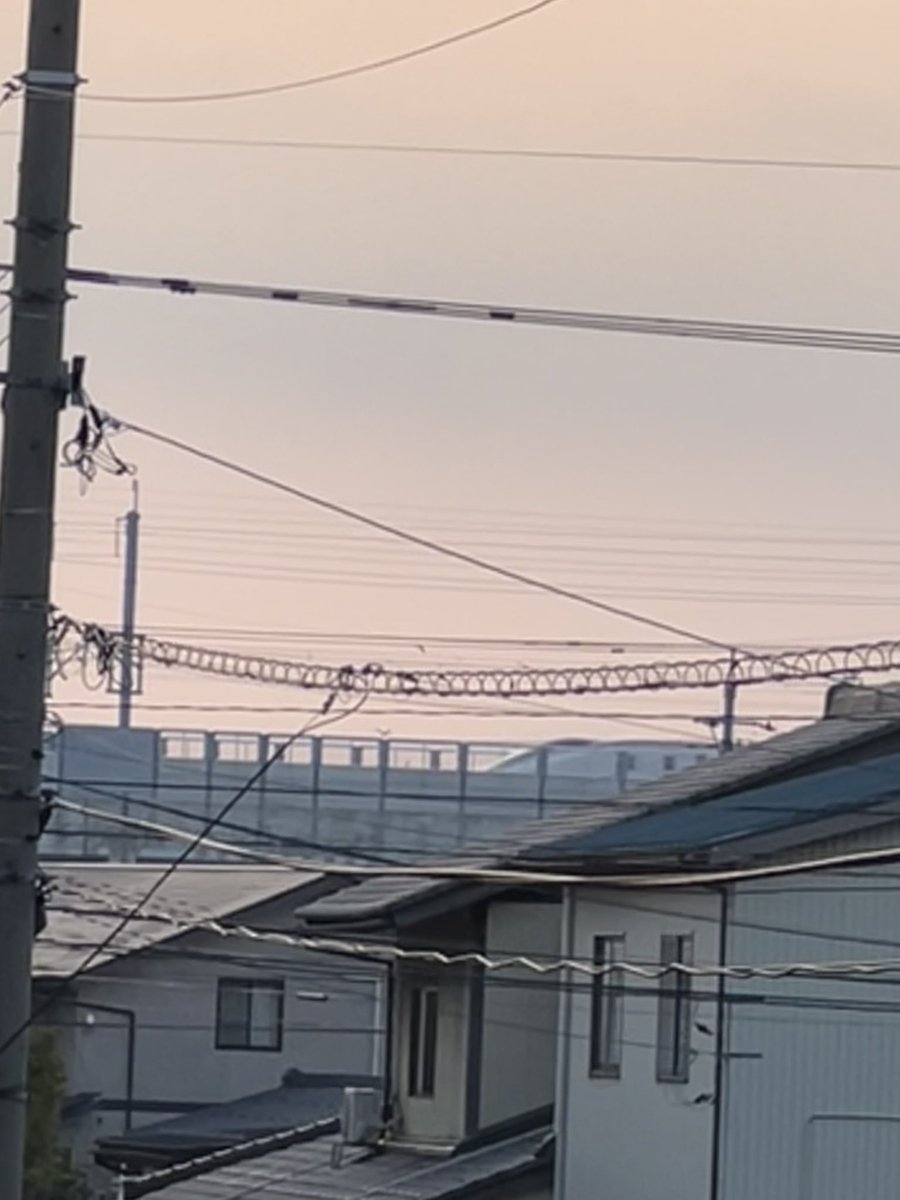 shirokumamon_'s tweet photo. 北陸新幹線🚄東京行き始発…ベランダから見送り👋 https://t.co/doGabNle8b