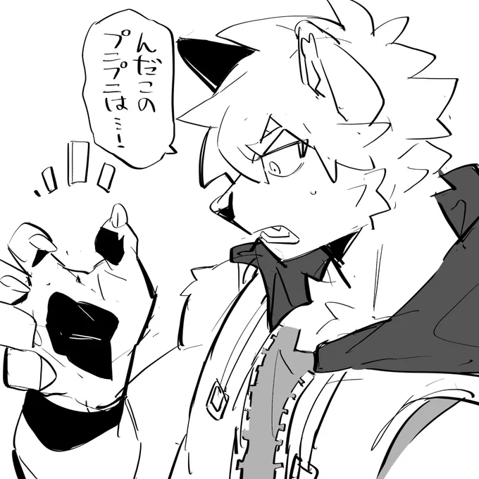 肉球とは🐺 