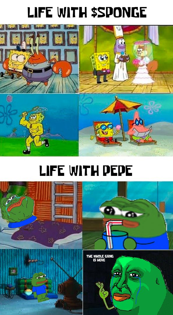 spongeoneth's tweet image. ABSORB THE DAMPPPPP!!! 🧽🧽💦💦

#SpongeV2 #MemeCoin #Altcoins