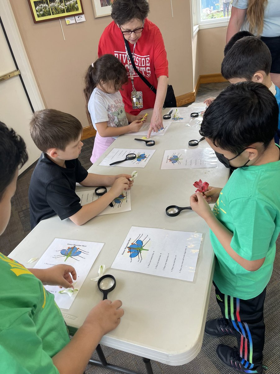 Bailey Chandler tweet media