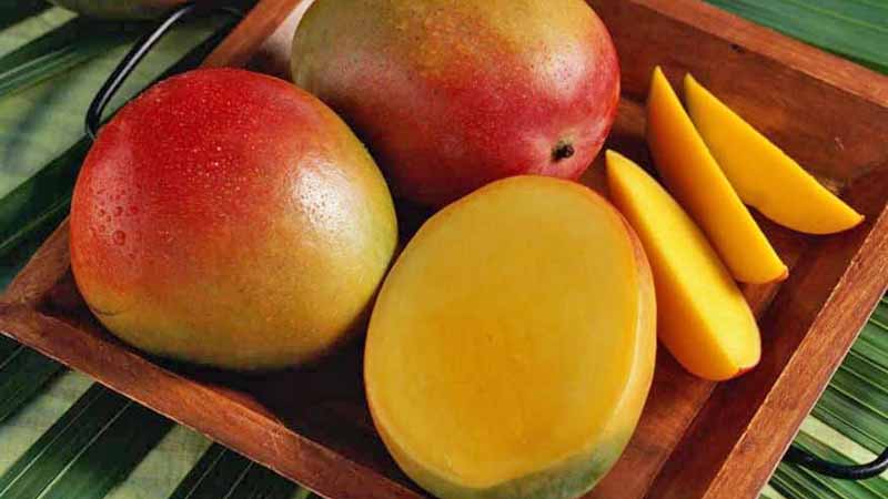 Exportaciones mexicanas de mango proveen alivio a ajustado mercado estadounidense

mexicoxport.com/exportaciones-…

#ANAM #CadenadeSuministro #CartaPorte #ComercioExterior #EconomíaMexicana #ExportacionesAgroalimentarias #Logística #Mexicoxport #SAT #SectorAgroalimentario #TMEC