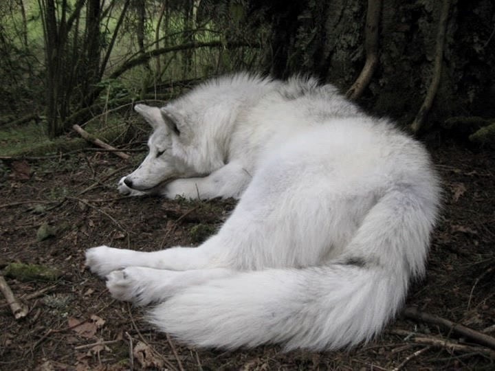 poetical photos. (@poeticalphotos) on Twitter photo 