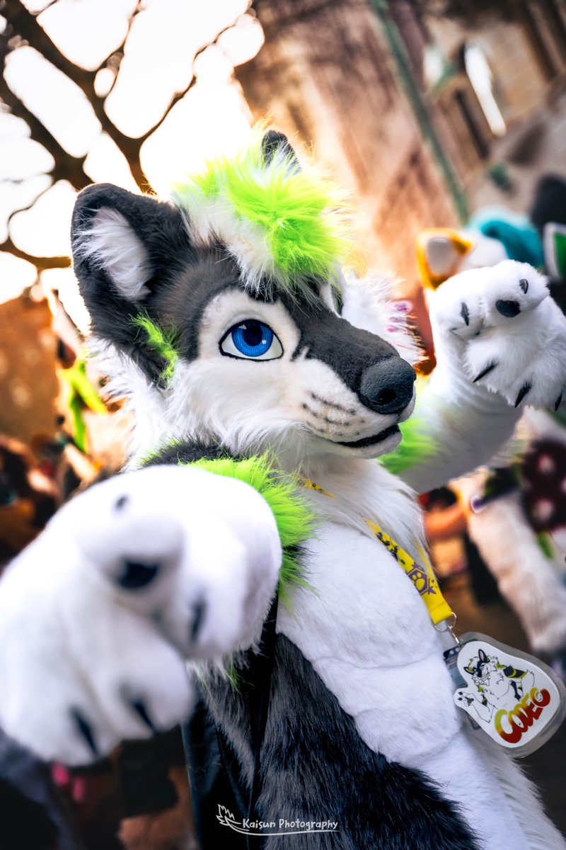 FuzzyCodec's tweet image. Still so energized from #NFC2024 and @2Dance_NRW is so soon already 🤩 Until then, have a wonderful #FursuitFriday and an awesome weekend! #furry #fursuit #NFC
📸: @KaisunDerg
✂️: @nukecreations
