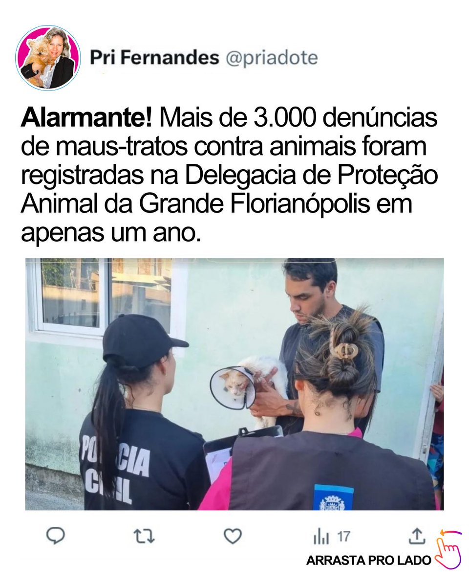 priadote's tweet photo. A crueldade mata, mas a omissão também. Denuncie.‼️ https://t.co/HJcNzGprpJ