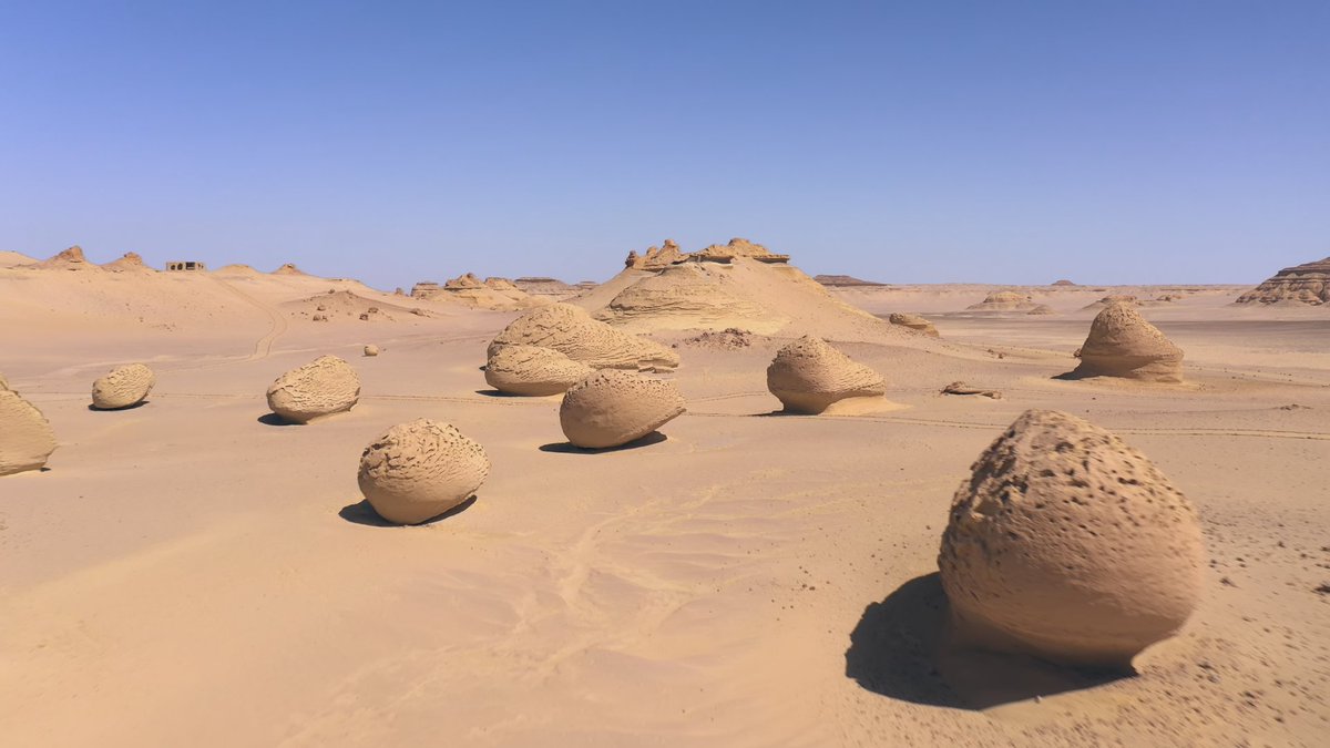 GIvoTUDbMAAyltr.jpg?format=jpg