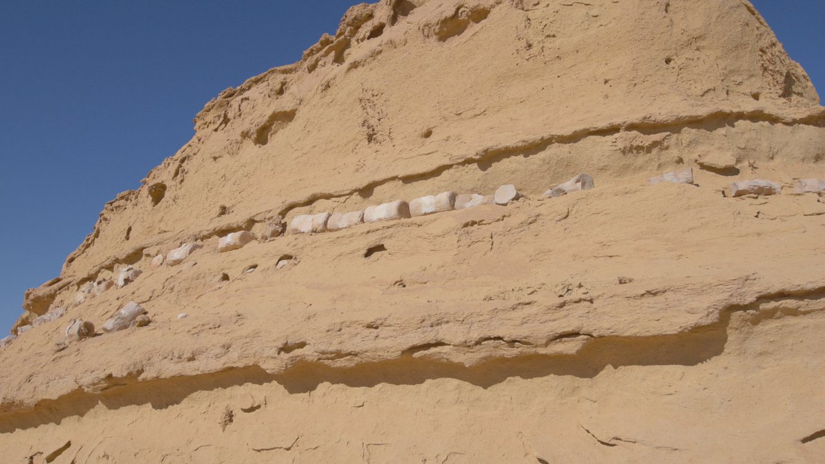 今日の放送では、変わった景観がいろいろ登場します。白砂漠＆黒砂漠と