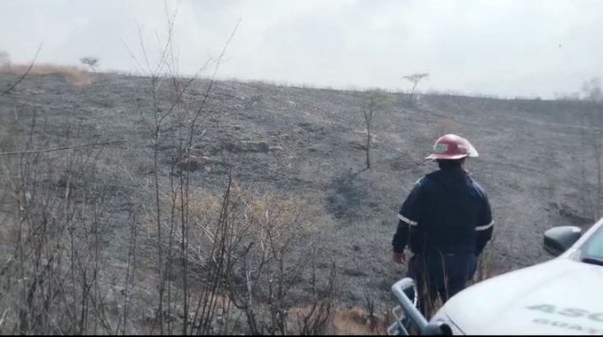#Nacionales CONRED informa acerca de que, en seguimiento al incendio de pastizal registrado en residencial Colinas del Norte El Fiscal del municipio de Palencia, Guatemala, Bomberos Municipales Departamentales ya se encuentran en el área para iniciar con las acciones de supresión