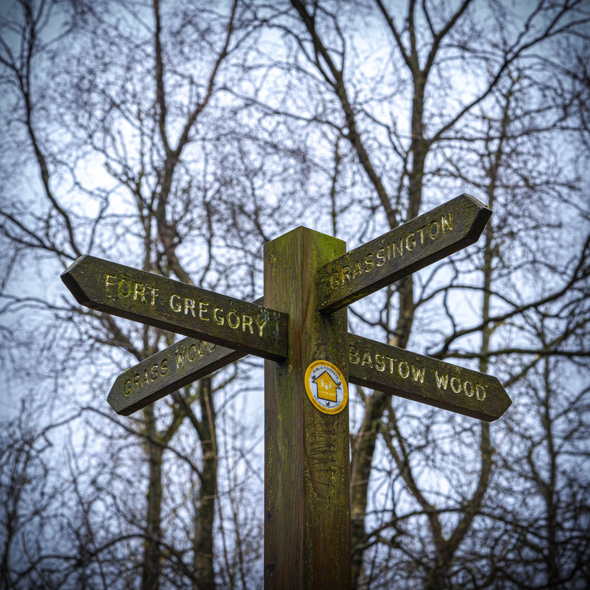 #fingerpostfriday was taken today whilst @ Grass Wood near Grassington.