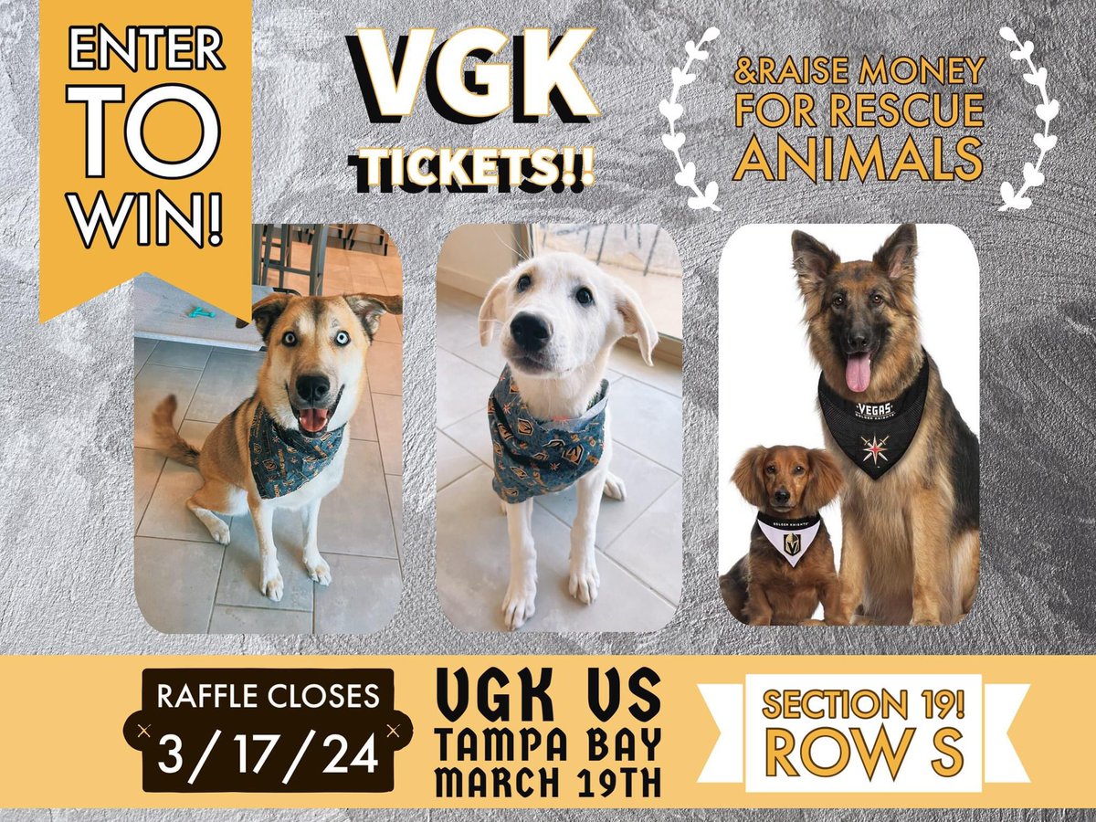 vanlouhou's tweet photo. Help SNARL (local Vegas rescue) raise money for their rescue animals and get a chance to win VGK tickets. Entry for just $10 https://t.co/TKD4RFsuZE #vgk #lasvegas #vegaslocal #vegasborn #vegasgoldenknights #win https://t.co/uaOFwECbY6