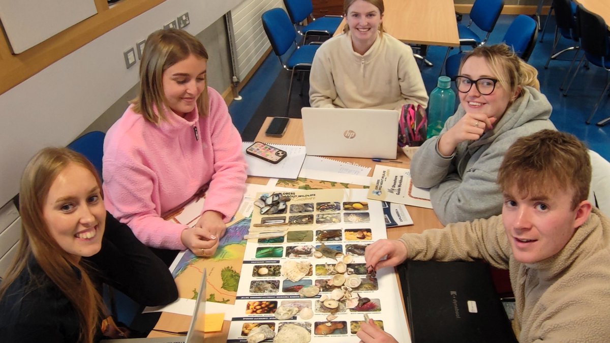 We're so excited to launch our newly updated 🐚Wild About Wildlife on the Seashore🐚 workbook, which is also done in Irish and being used as a key teaching resource for student teachers at Mary Immaculate College in Limerick. 🧑‍🔬 bit.ly/3IEkE4z #KeepExploring…
