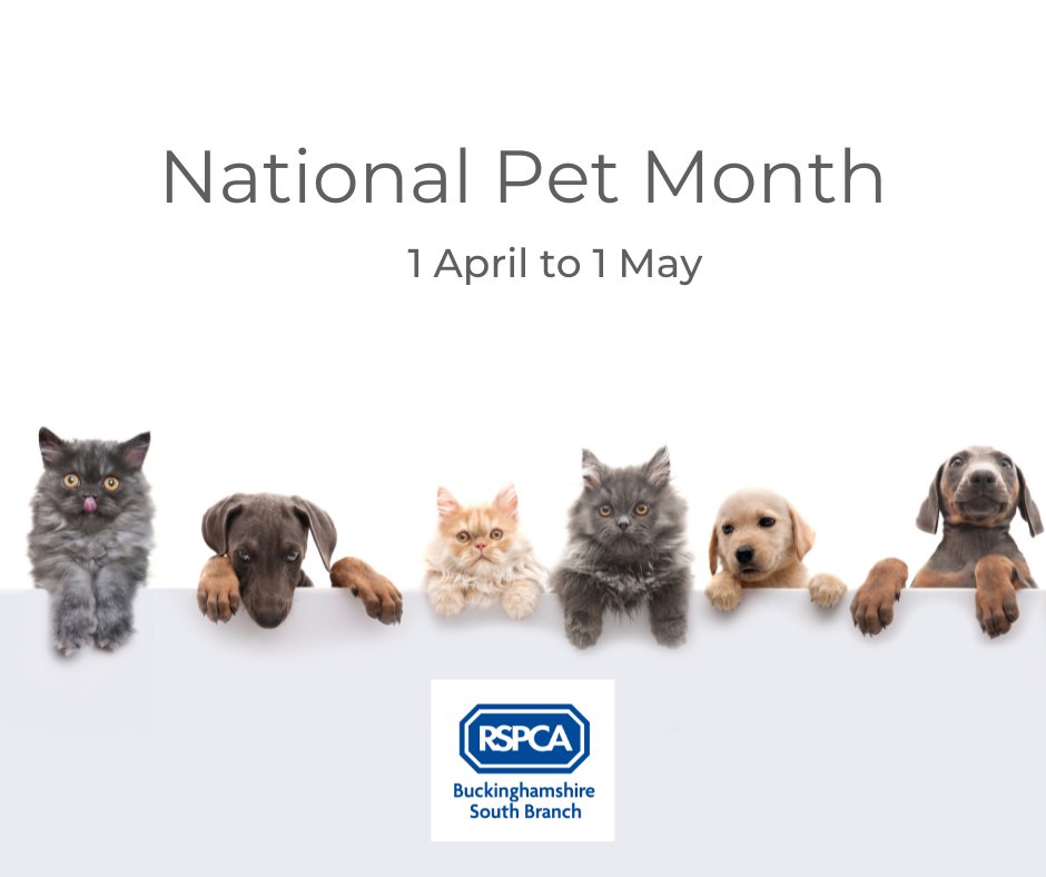 1 April - 1 May is #NationalPetMonth. There are various resources at rspca.org.uk/adviceandwelfa… to help you look after them. To rehome a pet, check out our social media for all the animals that currently need homes. Together let’s end animal suffering in south Bucks. #rspca #petcare