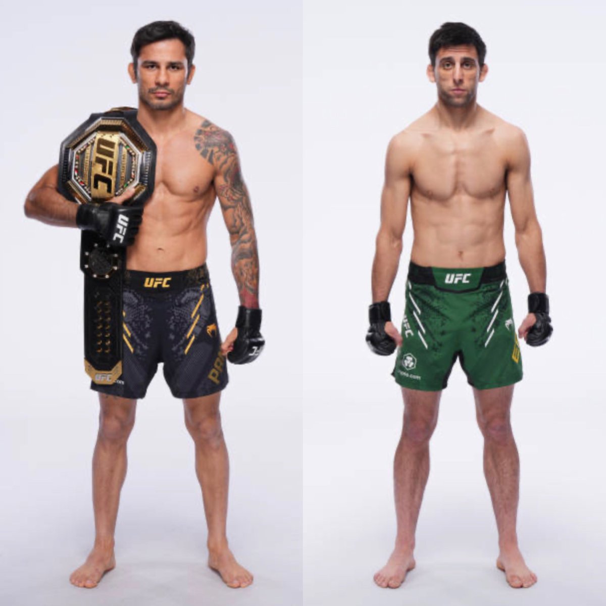 MMA Orbit tweet media