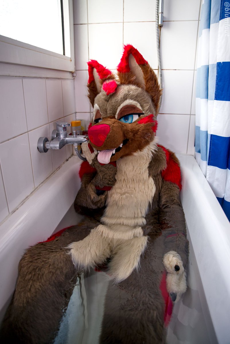 Spicey Shepherd tweet media