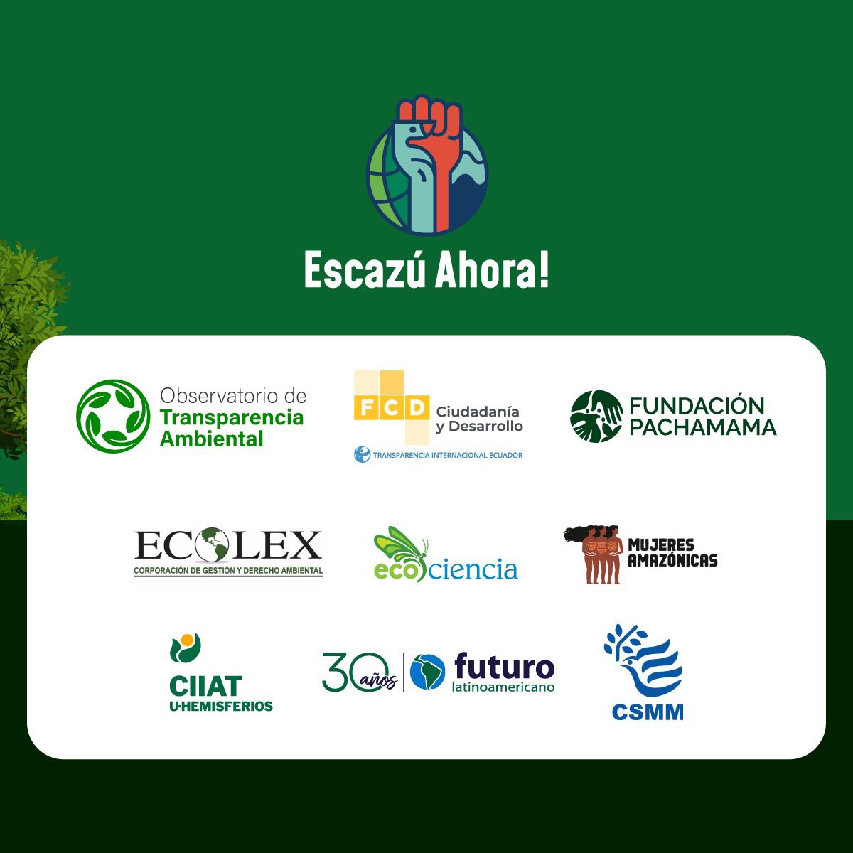 EscazuAhoraEc's tweet photo. Para la plena implementación del Acuerdo en #Ecuador, es indispensable el compromiso y liderazgo del @Ambiente_Ec.
#SomosEscazú
#EscazúAhoraEcuador https://t.co/vHvAxulN66