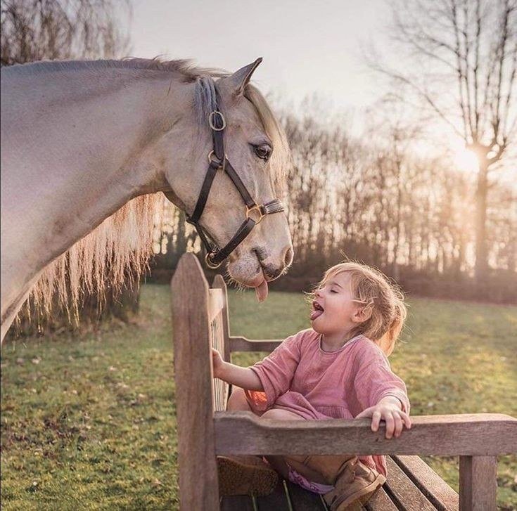 bd_tl39763's tweet photo. @Twins9849295151 https://t.co/IB877JGO15