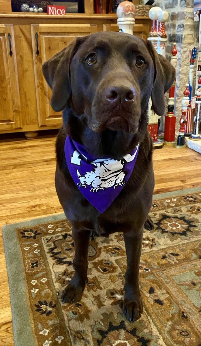 SBixby4's tweet photo. @TCU_Baseball https://t.co/PcO4PiQ5aF