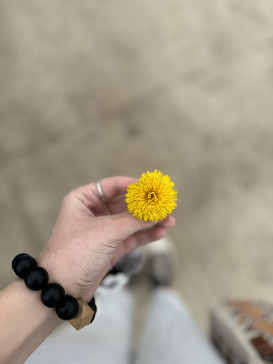 AlyssaBailz's tweet photo. Almost as pretty as you💕 https://t.co/XJbSQaEseL