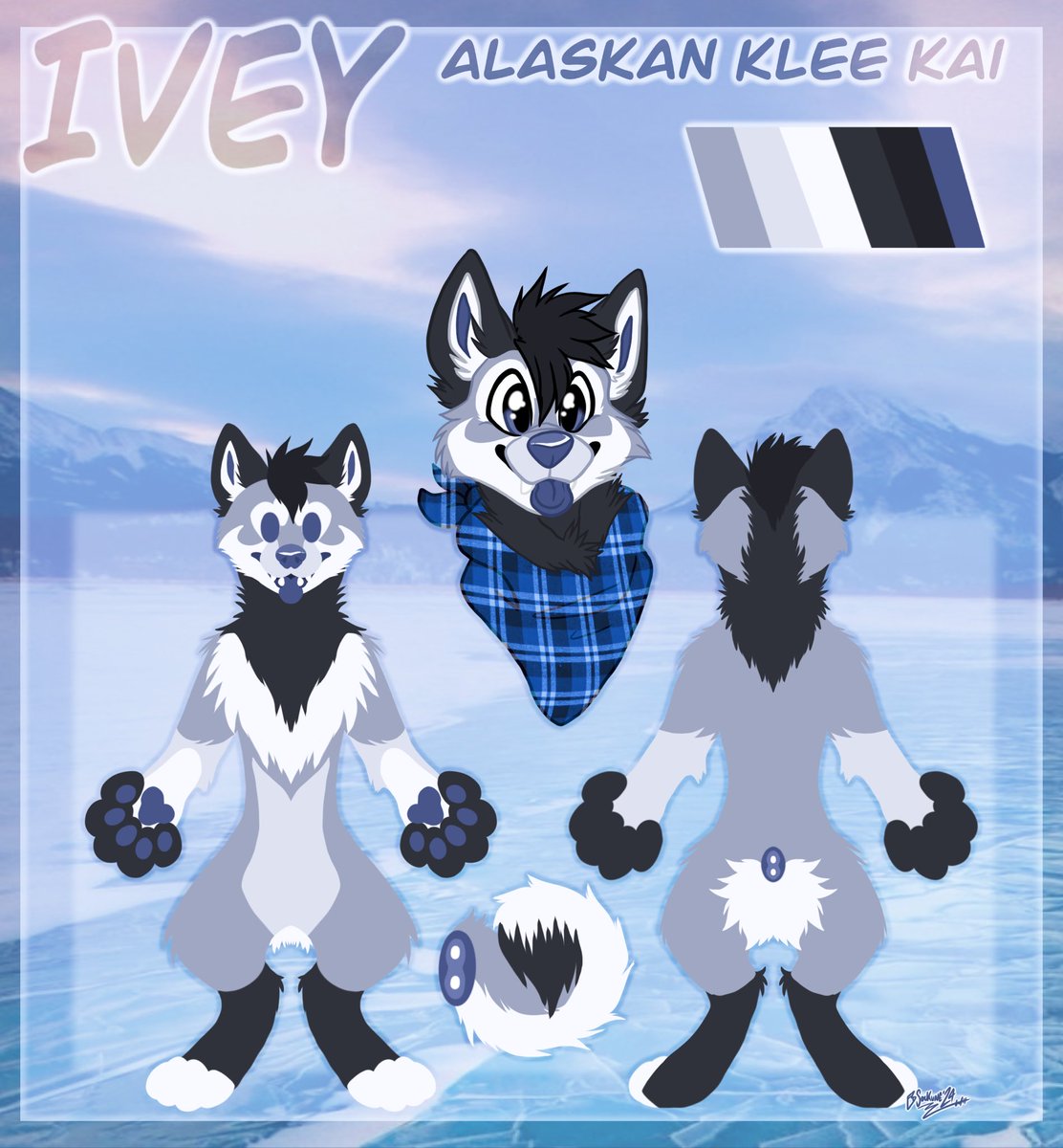 Ivey the Alaskan Klee Kai is available for 💲7️⃣5️⃣ or best offer!❄️
Reply or DM if you’re interested in adopting!

All interactions are greatly appreciated.💙✨