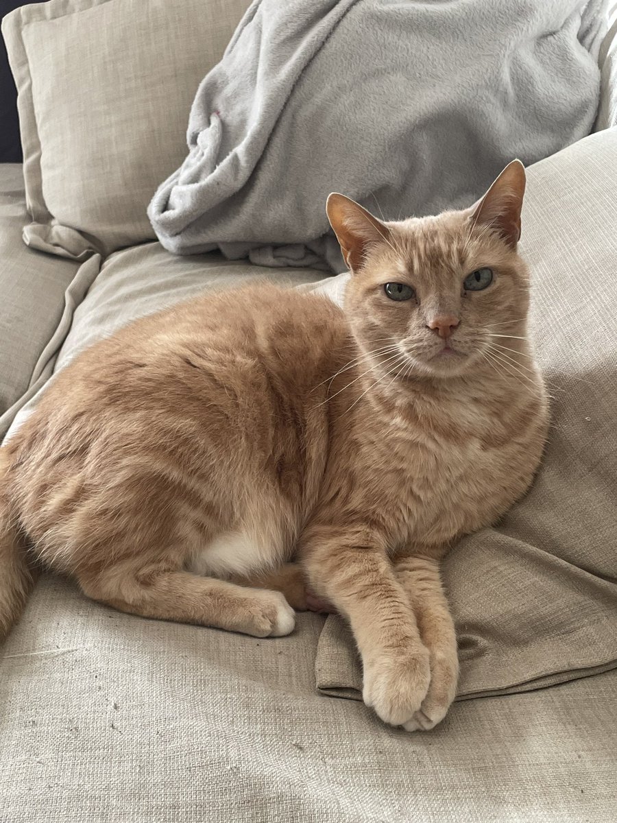 im0dium's tweet photo. Photo dump de cacahuète mon papy star https://t.co/FE5aJulpbs
