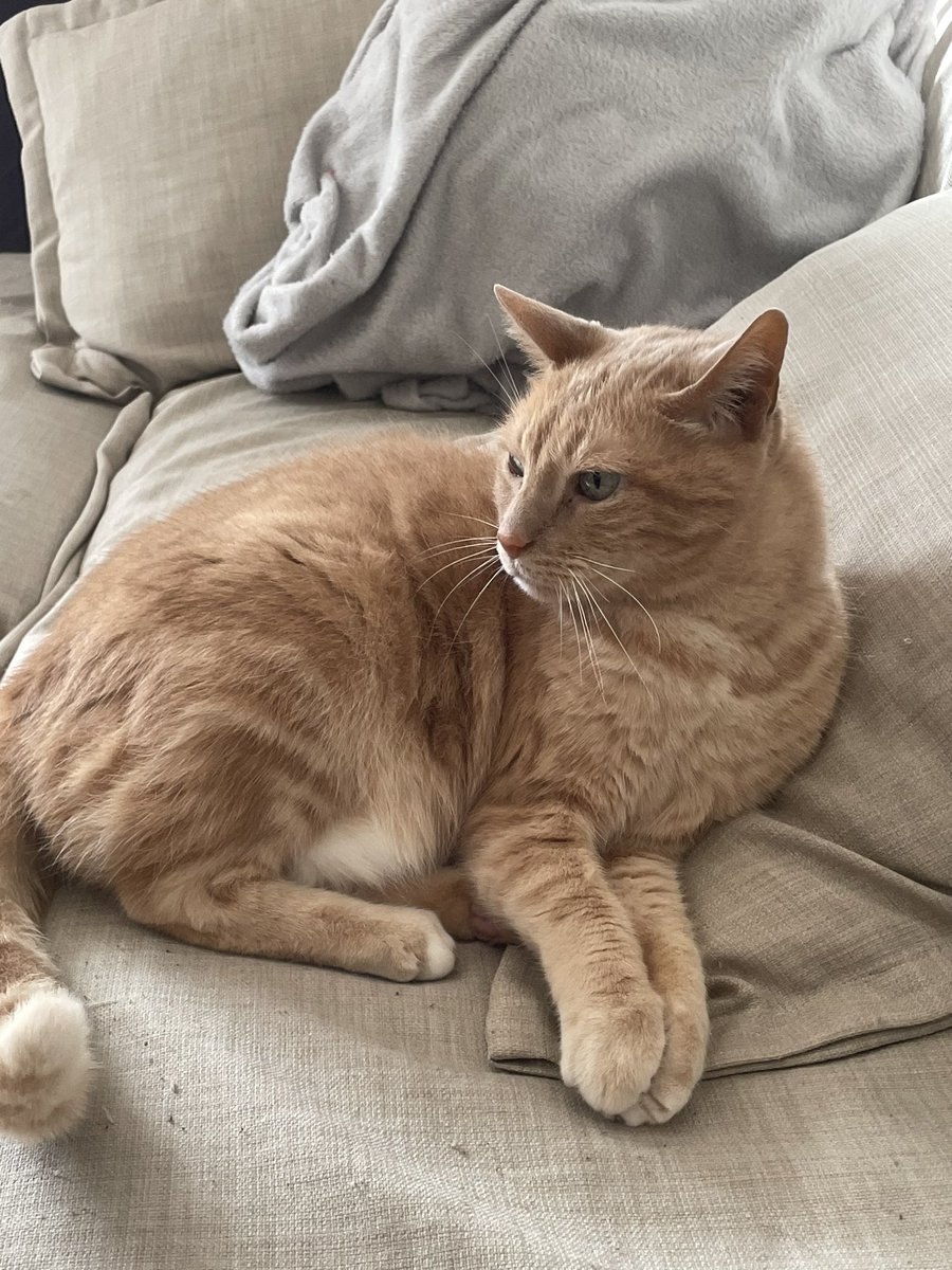 im0dium's tweet photo. Photo dump de cacahuète mon papy star https://t.co/FE5aJulpbs