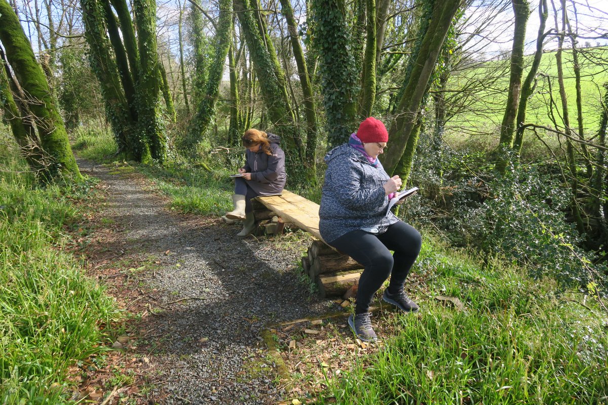 What a glorious day for my Green Sketching workshop @cecas, Myross Wood House, Leap, West Cork! More workshop dates and venues to be announced soon. Keep an eye on my website for updates - anneharringtonreesdesigns.ie. Available to run workshops at festivals, for businesses + schools.