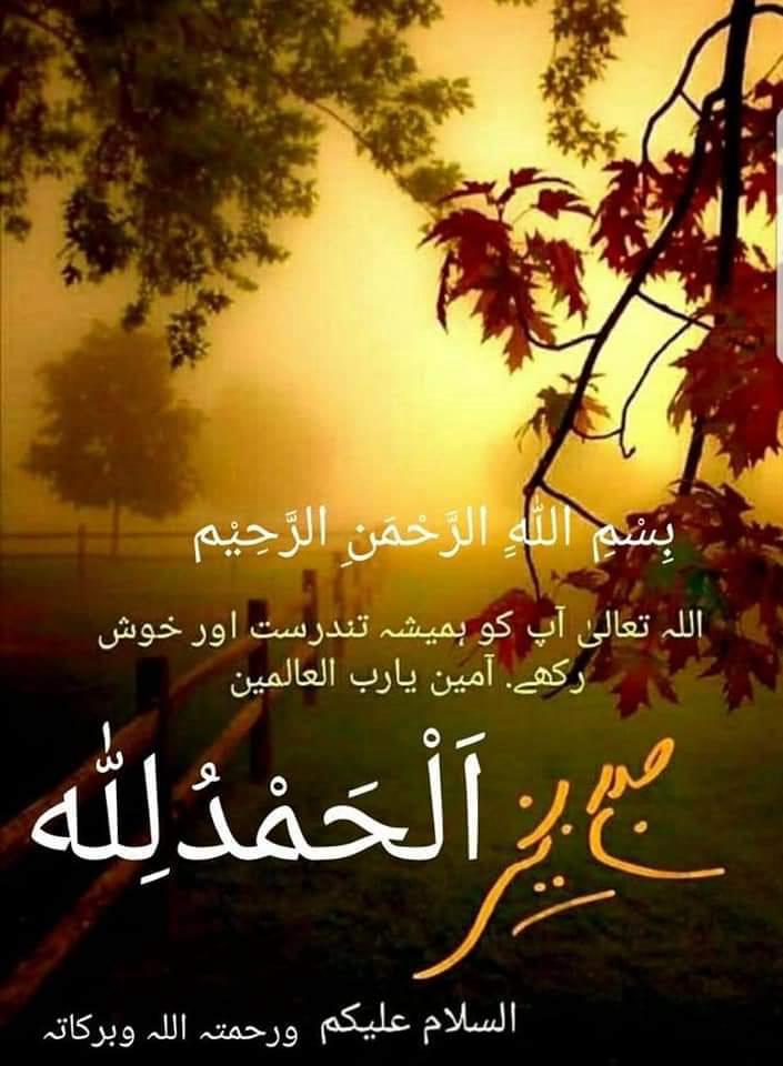 IjazHus5's tweet photo. Assalamu Alaikum and Good morning 🌞 https://t.co/zvrKhz2Mj4