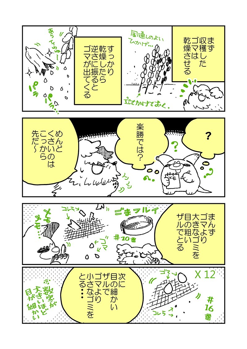 【適当農園】 (17)  畑友に聞く春まきオススメ野菜 #家庭菜園  
種を見かけたら買っちゃう気がします。 春はこれを蒔け! みたいなのありますか? 