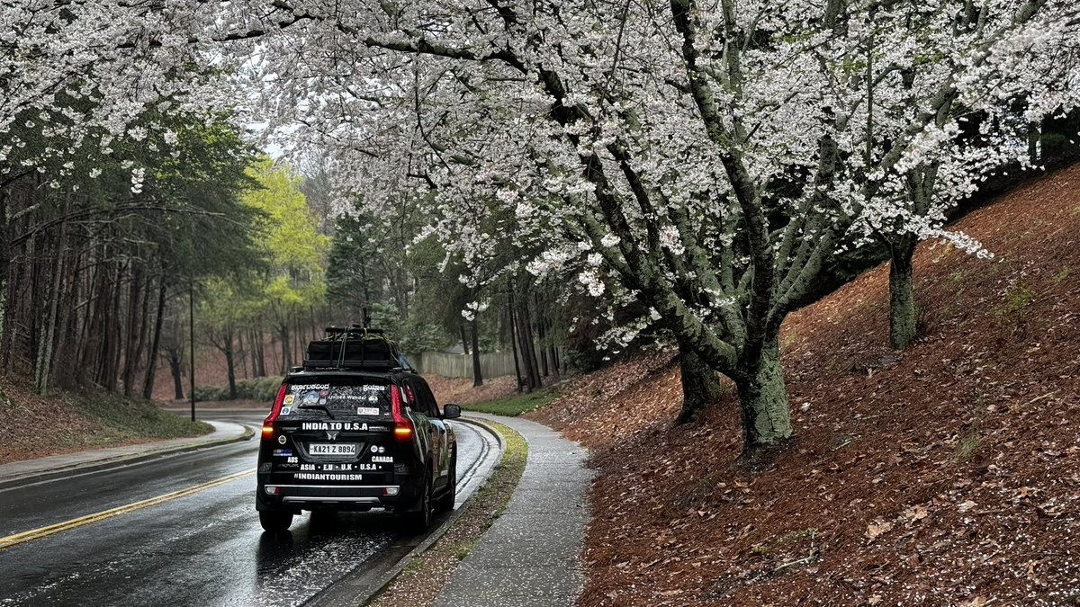 United.wander tweet media