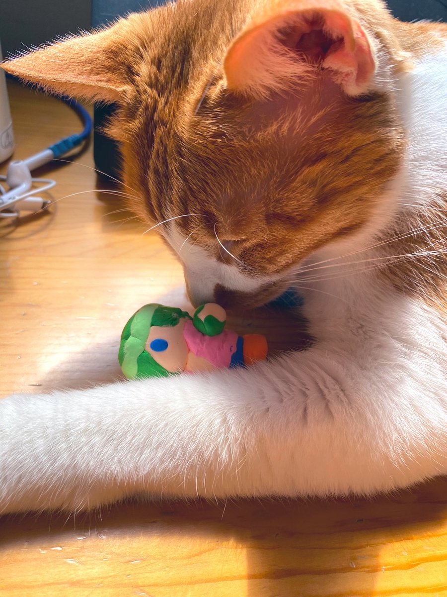 Tatsu_515_'s tweet photo. My cat kissing lil biker https://t.co/9LqlM26D2h