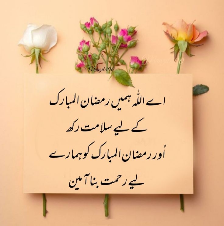 Assalamu alaikum
Good morning X friends