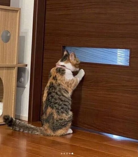 中学の時に男子5人程で女子たちが身体測定やってるから覗きに行こうぜ!!て話になり、保健室へ行き覗き見してるとこちら一人だけ見つかって後で先生にめちゃ叱られた笑 そんな話が同窓会で同級生に再開した時いつも笑い話になる、て事もなく同窓会も一度も呼ばれた事ないけどあの頃が一番楽しかったか<a href="/tag/%E3%83%90%E3%82%A4%E3%83%96"class="tags"><span>#バイブ</span></a><a href="/tag/%E3%82%AF%E3%83%AA%E3%83%90%E3%82%A4%E3%83%96"class="tags"><span>#クリバイブ</span></a><a href="/tag/%E5%90%B8%E5%BC%95"class="tags"><span>#吸引</span></a>