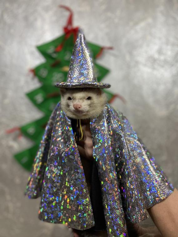 dripcritter's tweet photo. This is how $Drip holders are going to be looking at brokies. https://t.co/SpWHkjAlSn