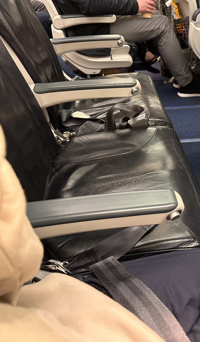 Alexandria💫 tweet media