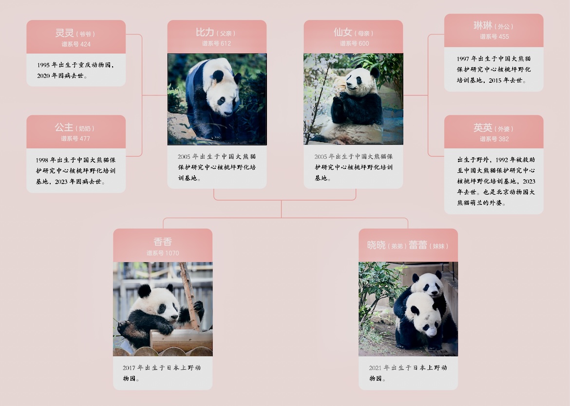 シャンシャンの家 on X