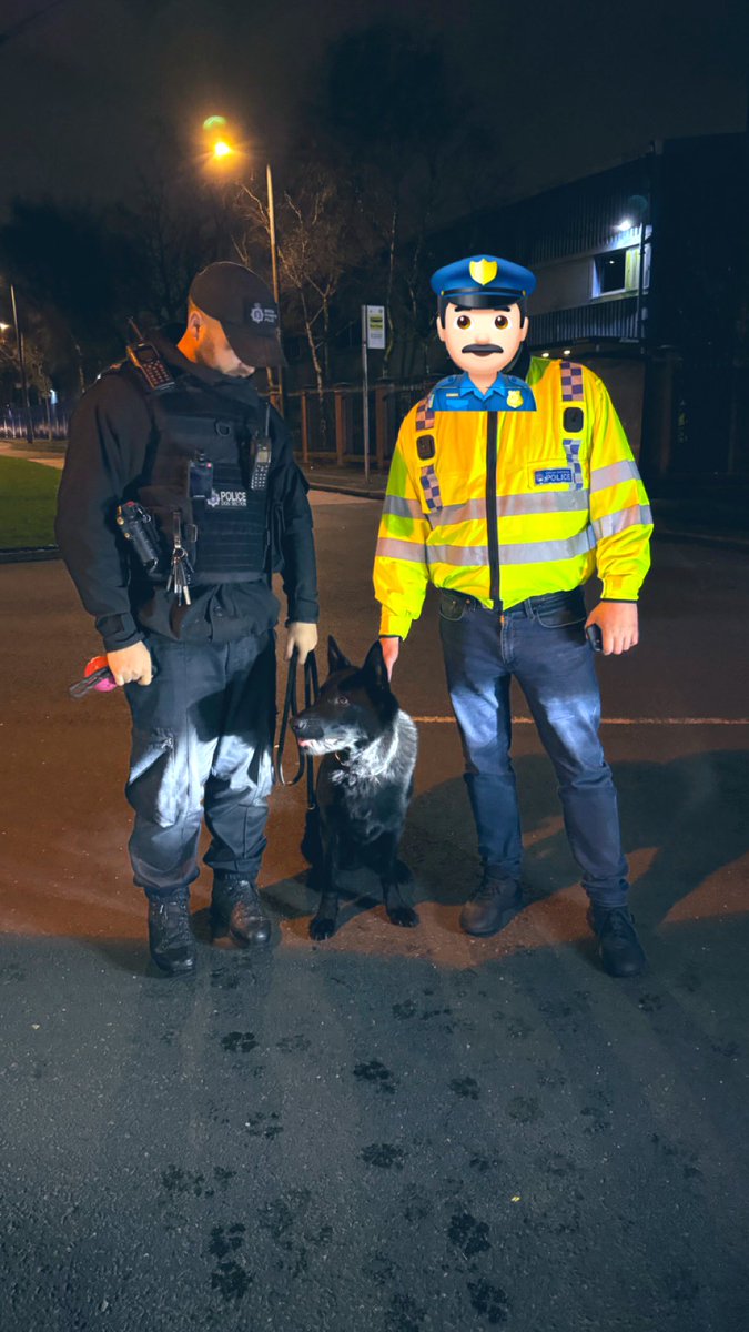 This evening 2 x SPS’s and 1 x SPC facilitated the ride along of a student officer who is currently in training and will be joining us very soon at team @BTPGtrMcr ! It’s safe to say an exciting shift was had by all with a hello from @BTPDogs too 😍🐕🚂🐝 #onebtp