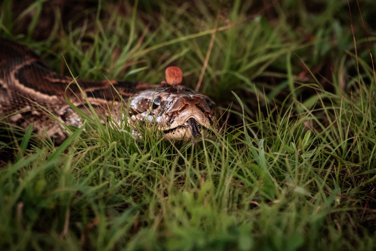 Kamalak Kannan BV tweet media