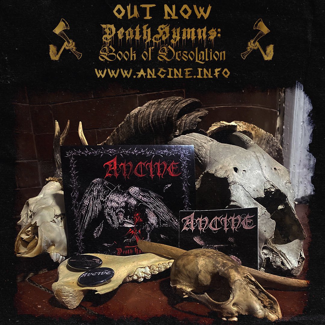 ancineblues's tweet photo. https://t.co/Rz61NGlxaF order now https://t.co/1mWN8Lp5It