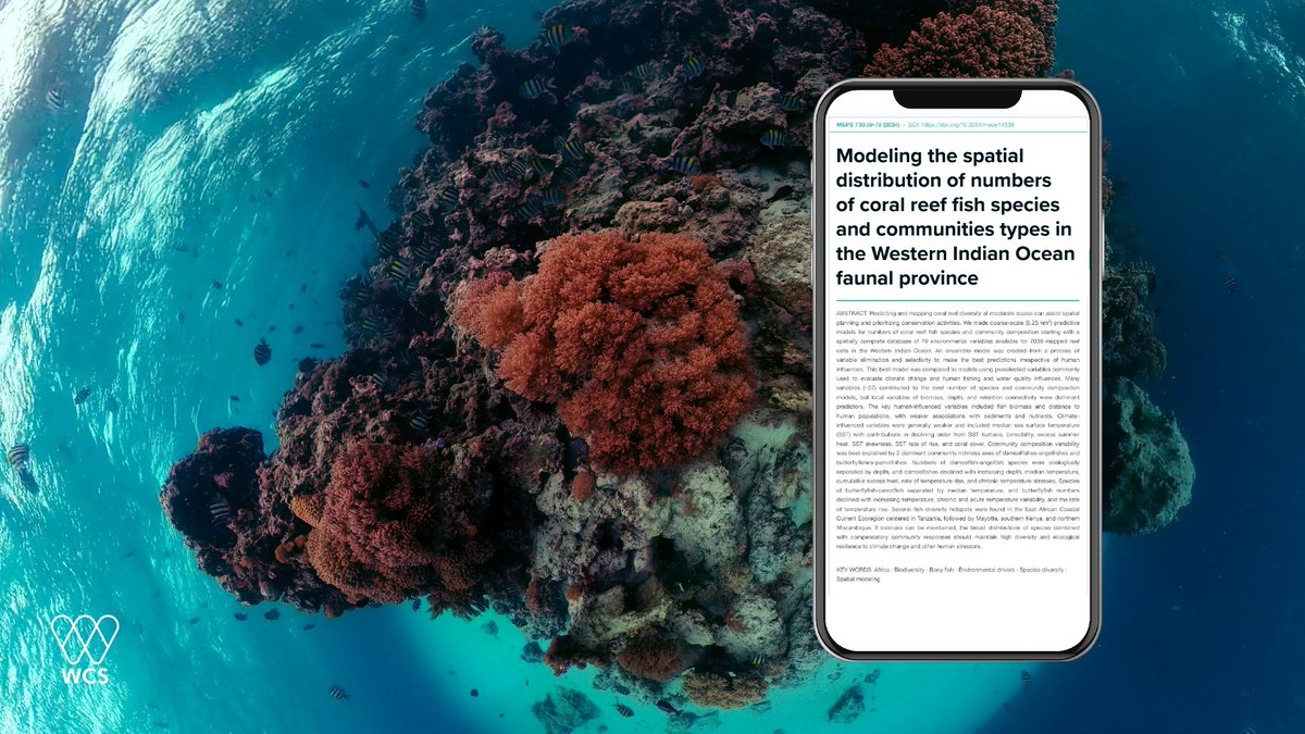 New science #ForCoral from WCS and partners, modeling coral reef fish species in one of the ocean's most important regions for climate- resilient coral reefs 🪸 Read it here: int-res.com/abstracts/meps…