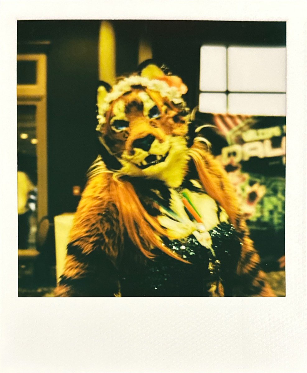casidhe's tweet photo. Polaroids from #TFF so far
@Zarafagiraffe 
@kalenai 
@MiezeTiger https://t.co/8Qsd6e6clf
