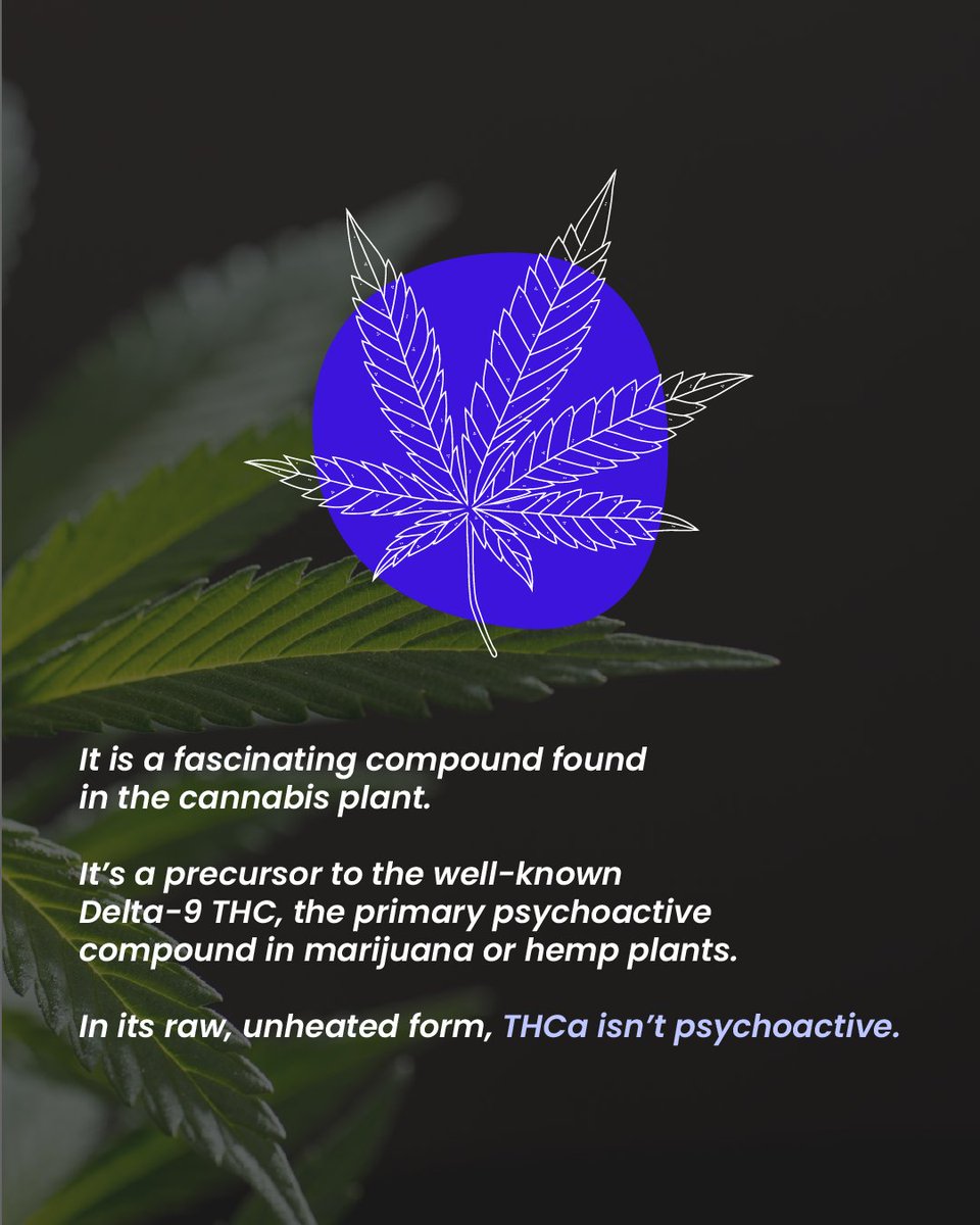DiscountVapePen's tweet image. Have you ever wondered what is THCA and why it matters? 🤔

Here we bring answers!

Swipe right to see more. ➡️

🌐 discountvapepen.com

#vaporizer #vapedaily #vapeshop #vapefamily #vapeallday #vapeshop #dryherbvaporizer