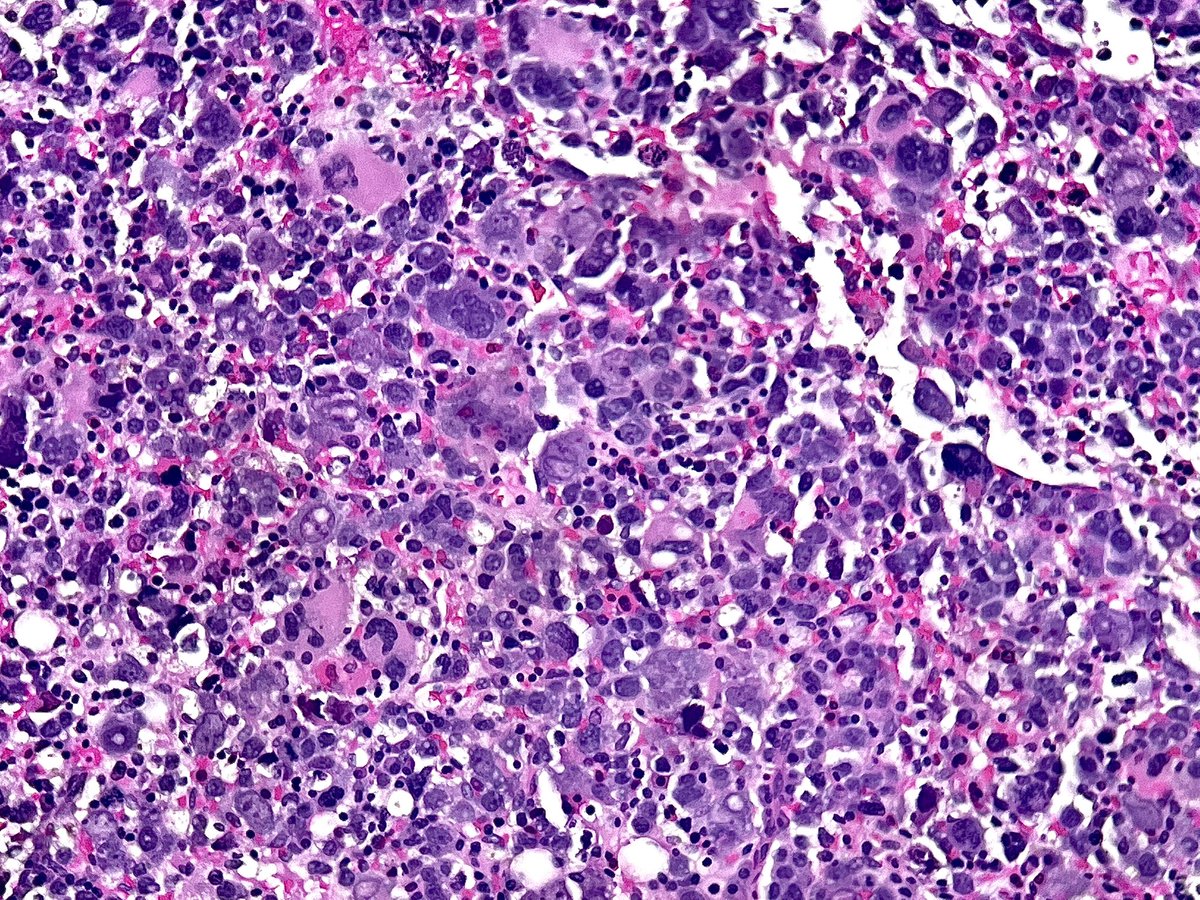 Nana Matsumoto, DO tweet media