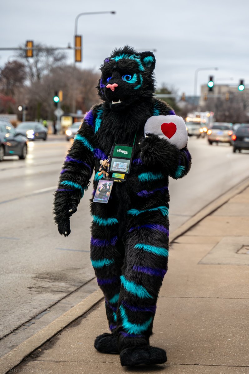 AutomataDog (@automatadog) on Twitter photo ShadowKat walking down the sidewalk at MFF23
๐: <a href="/ShadowKat2K/">ShadowKat ๐บ๐ธ</a>
#Furry #Fursuit #MFF2023 #MFF #FursuitFriday #FursuitEveryday ShadowKat walking down the sidewalk at MFF23
๐: <a href="/ShadowKat2K/">ShadowKat ๐บ๐ธ</a>
#Furry #Fursuit #MFF2023 #MFF #FursuitFriday #FursuitEveryday
